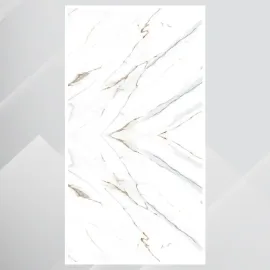 Porcelain Tile 600x1200 Satuvario