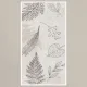 Porcelain Tile 600x1200 DECOR VOYAGE FLOWER SURFACE
