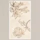 600x1200 DECOR CHIC FLOWER SURFACE Porcelain Tile