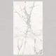 600x1200 Ps_1022 Porcelain Tile