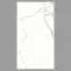 600x1200 Ps_ 1033 Porcelain Tile