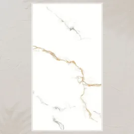 600x1200 Ps_ 1036 Porcelain Tile