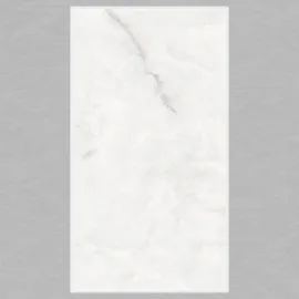 600x1200 Ps_ 2005 Porcelain Tile