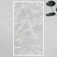 PULPIS GREY