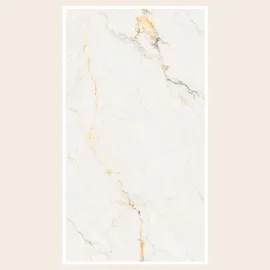Porcelain Tile 600x1200 8534