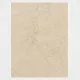 Porcelain Tile 1200x1800 MARFIL GOLD