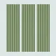 75x300 FRENDI_LIGHT_GREEN Porcelain Tile