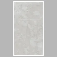 4005-AMBION-CLOUD