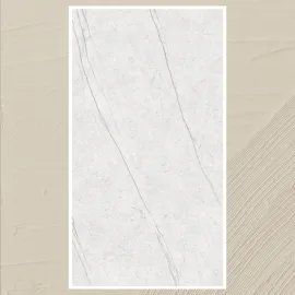 Porcelain Tile 600x1200 5008