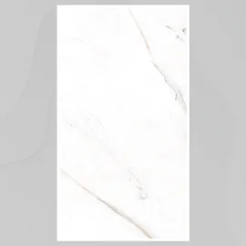 Porcelain Tile 600x1200 5017