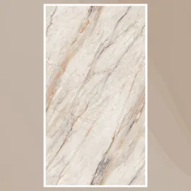 Porcelain Tile 600x1200 5024