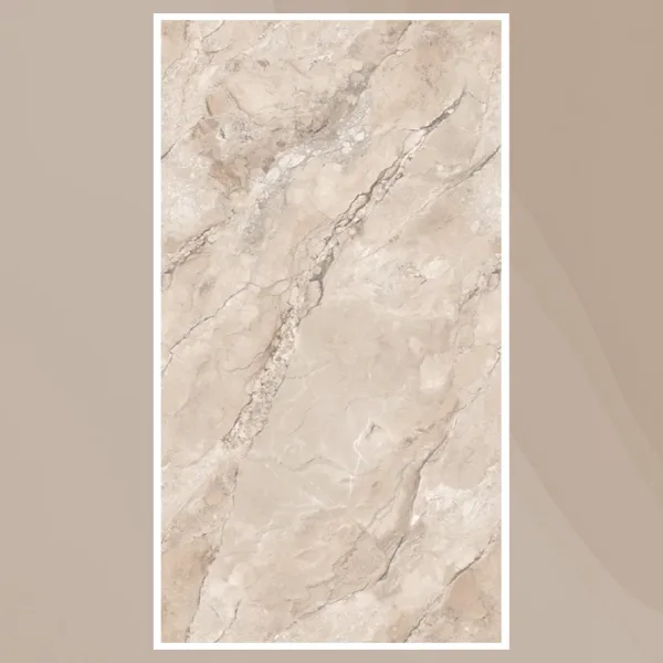Porcelain Tile 600x1200 5031