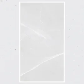 Porcelain Tile 600x1200 6018-ARMANI-GRIS
