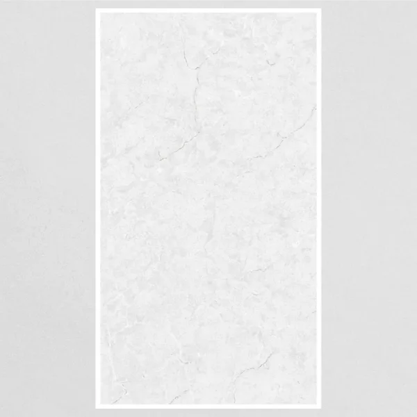 600x1200 6024-BLOSTER-GREY Porcelain Tile