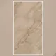 Porcelain Tile 600x1200 6133