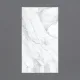Porcelain Tile 1600x3200 ARISTON BIANCO