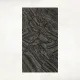 300x600 Astonia Black Porcelain Tile