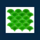 Porcelain Tile 300x300 Fish_Scale_CR3422