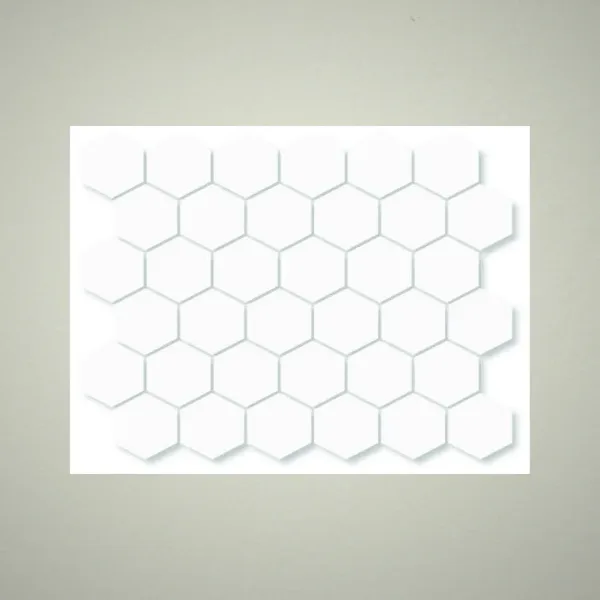 Porcelain Tile 300x300 Hexagon_G1751