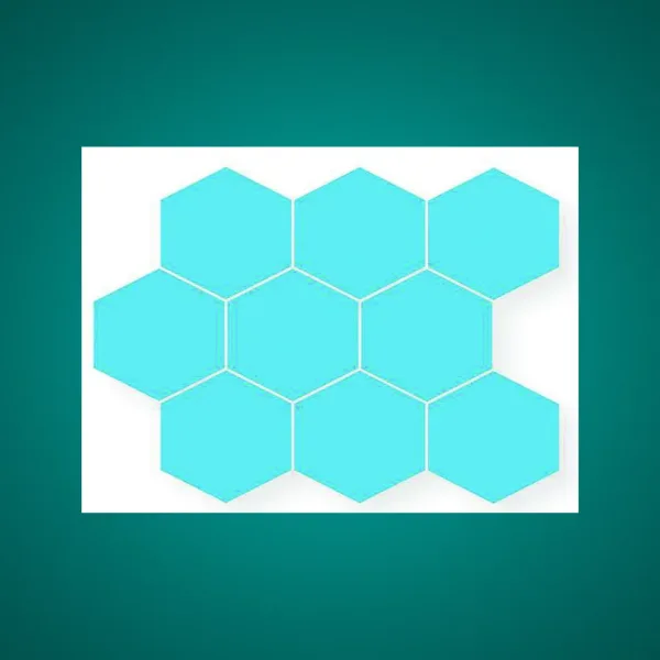 Porcelain Tile 300x300 Hexagon_M1910