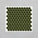 300x300 Penny_Rounds_G1529 Porcelain Tile