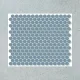Porcelain Tile 300x300 Penny_Rounds_M1456