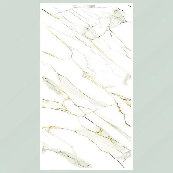 Porcelain Tile 600x1200 EDL_8554