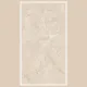 600x1200 EDL_8555 Porcelain Tile