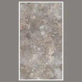 Porcelain Tile 600x1200 EDL_8560
