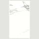 600x1200 Ps_ 2060 Porcelain Tile