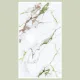 600x1200 3544 Porcelain Tile