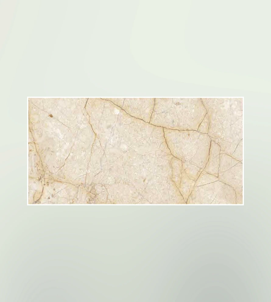 300x600 1317 Porcelain Tile