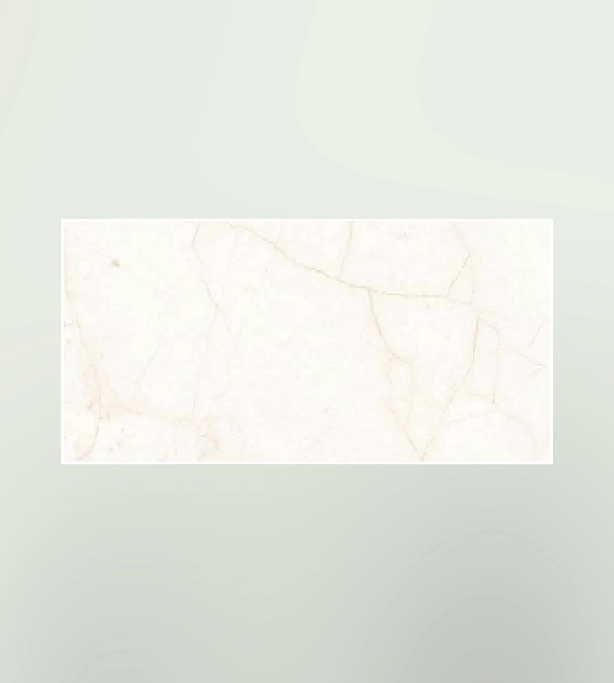 300x600 1317 Porcelain Tile