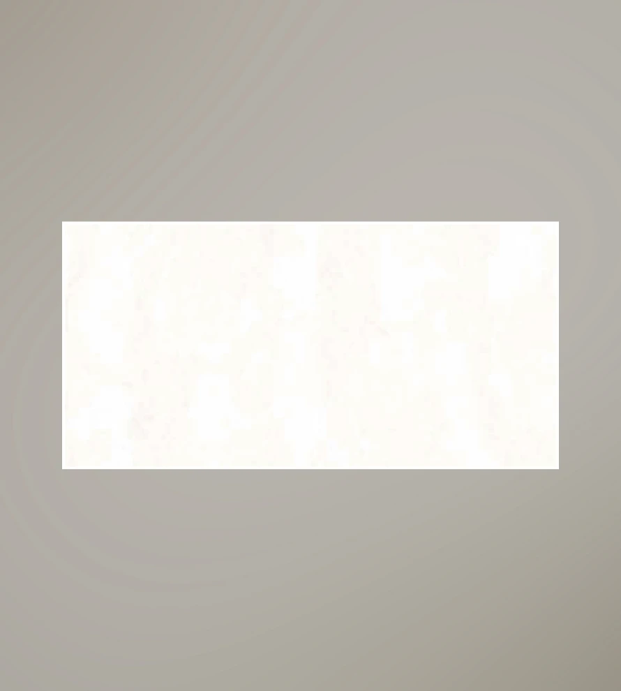 300x600 1318 Porcelain Tile