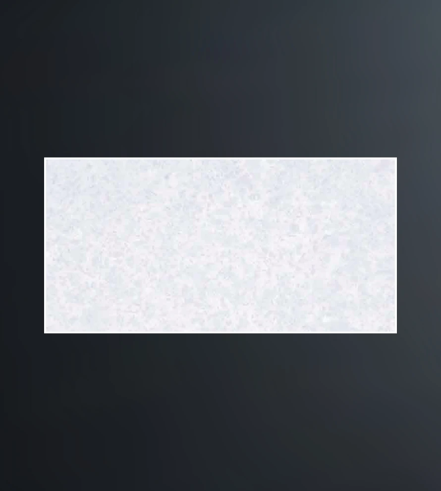 300x600 1319 Porcelain Tile