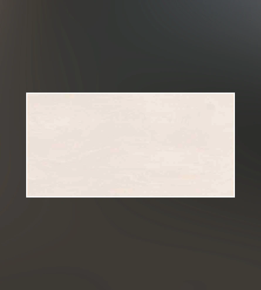 300x600 1321 Porcelain Tile