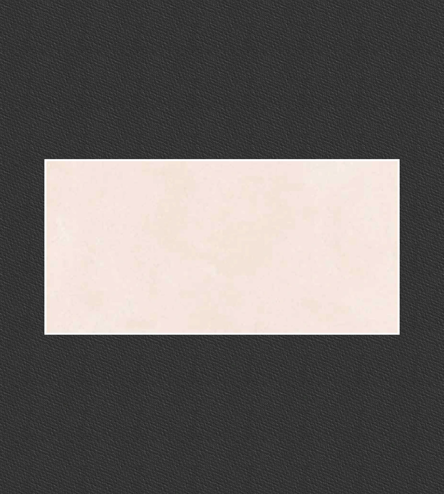 300x600 1381 Porcelain Tile