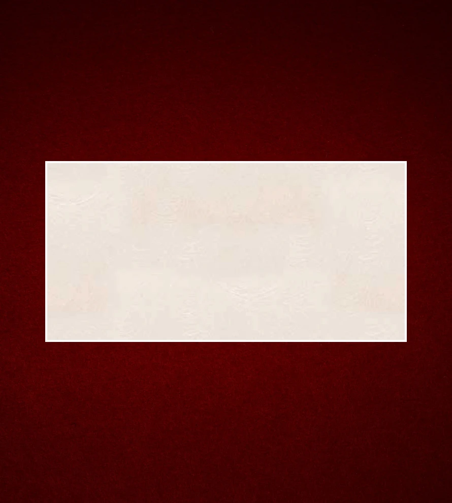 300x600 1605 Porcelain Tile