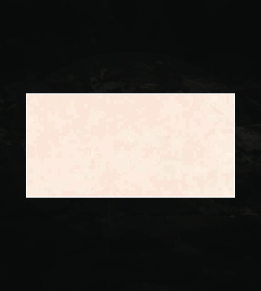 300x600 1614 Porcelain Tile