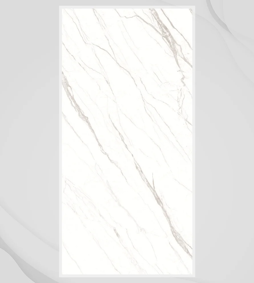 Porcelain Tile 600x1200 Ps_1019