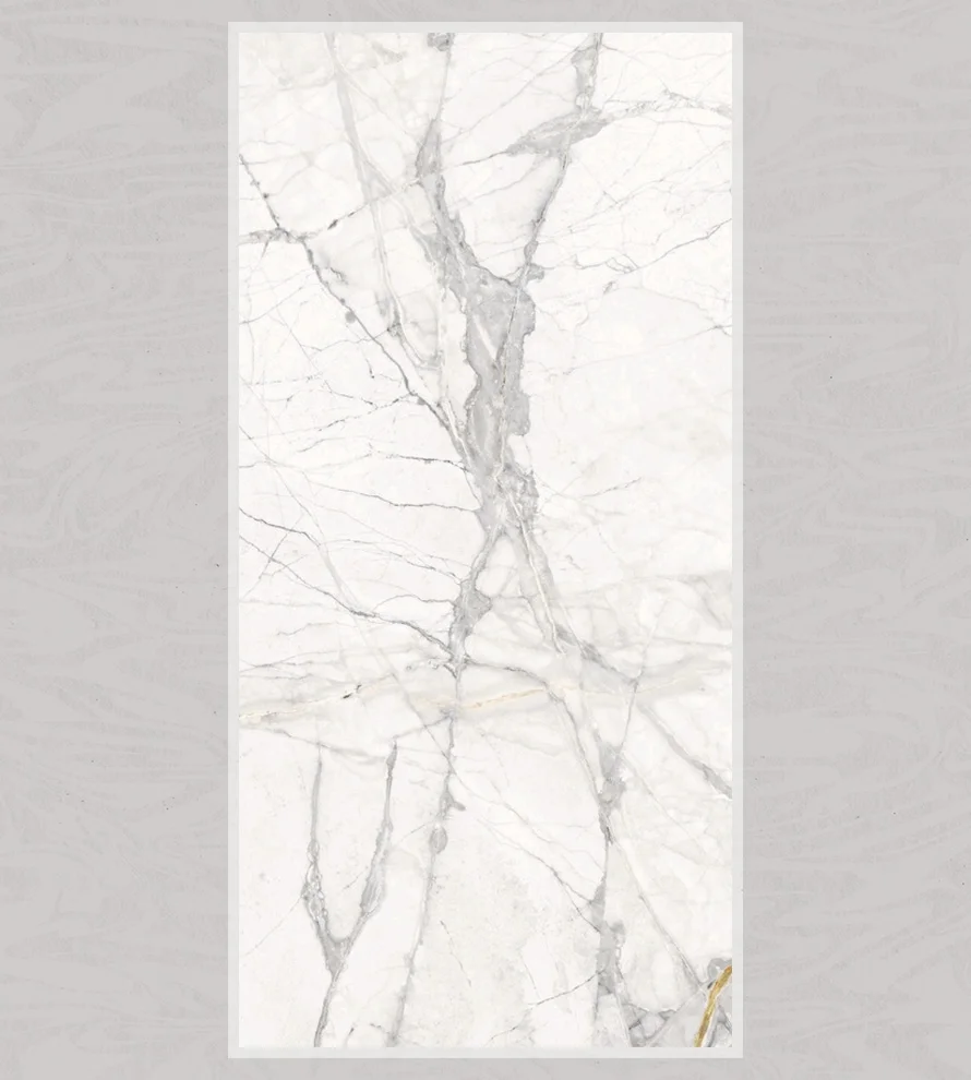 Porcelain Tile 600x1200 Ps_1022