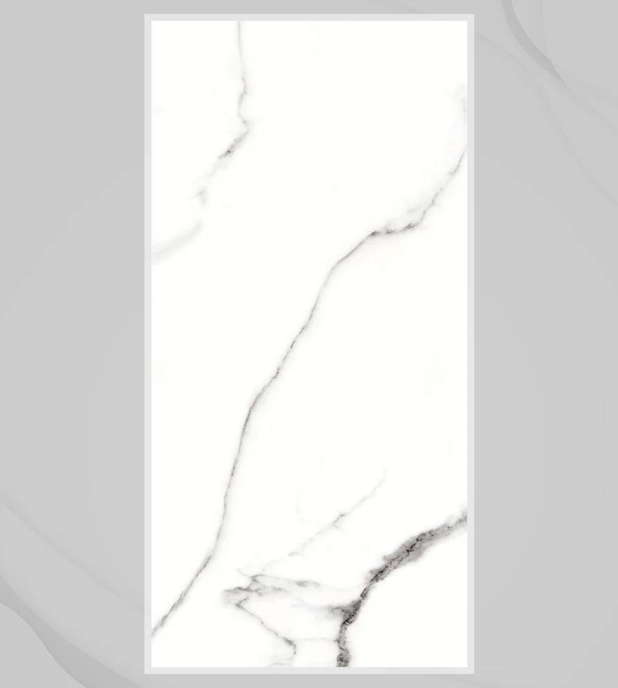 Porcelain Tile 600x1200 Ps_1029