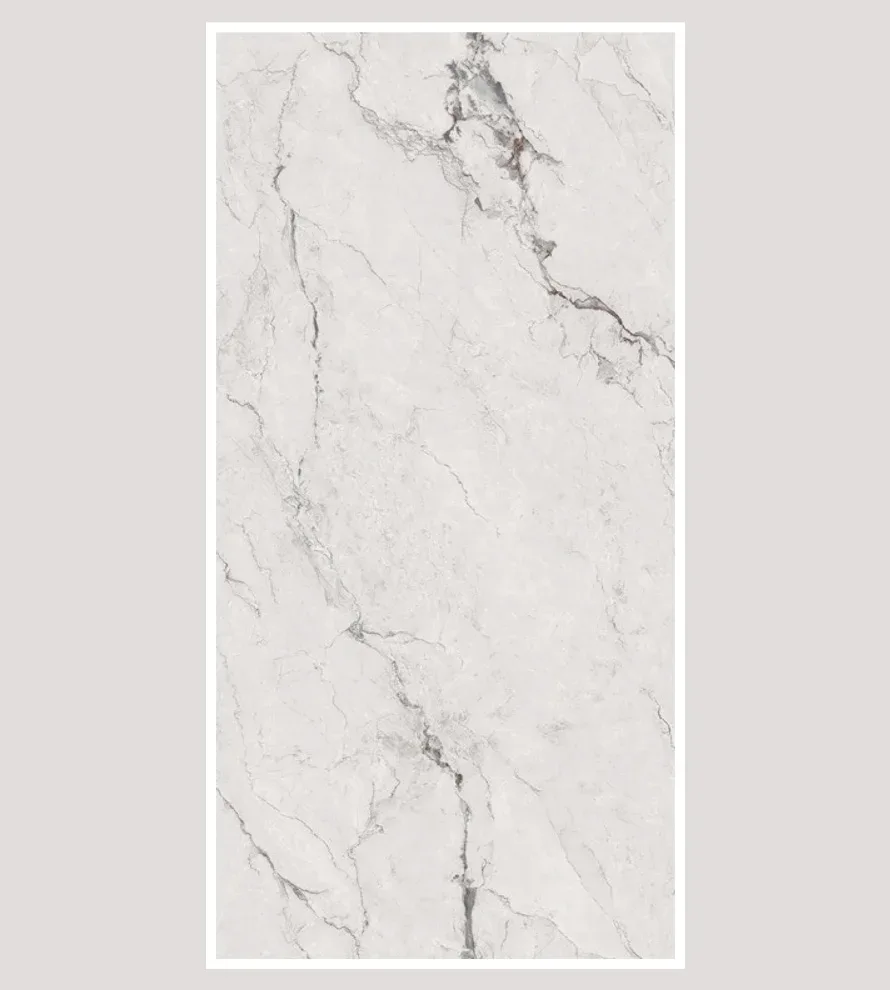 Porcelain Tile 600x1200 8533