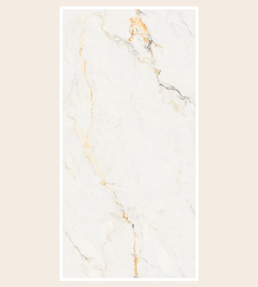 Porcelain Tile 600x1200 8534