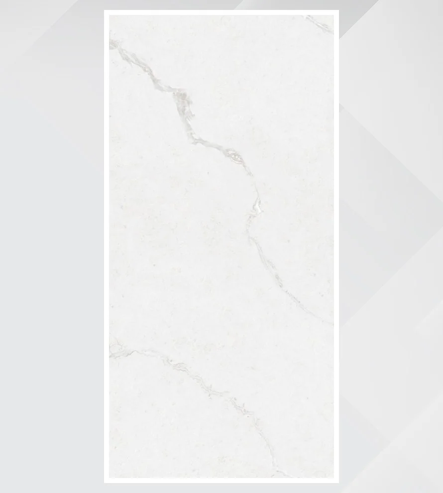 Porcelain Tile 600x1200 8046
