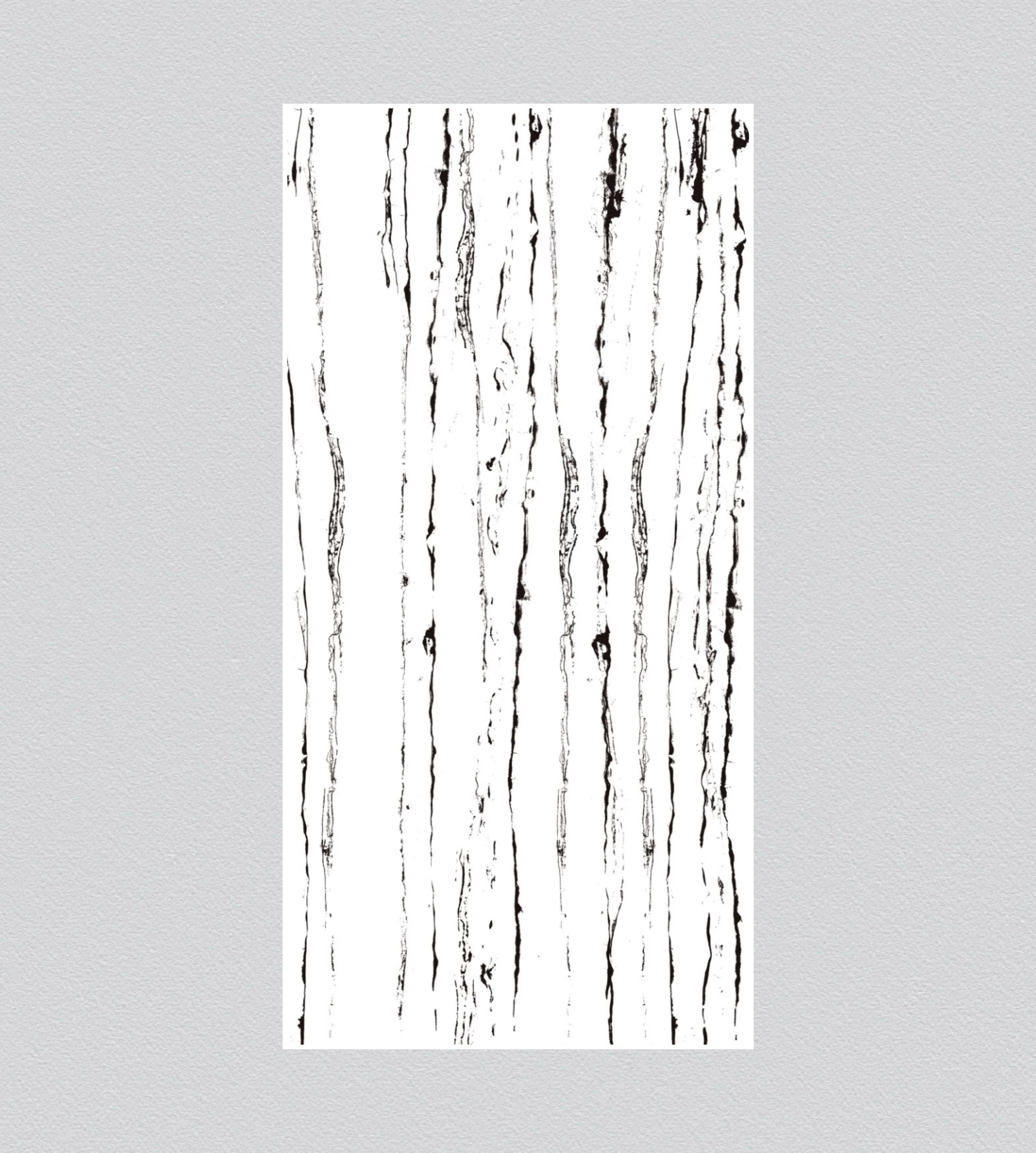 300x600 ZIBRA_WHITE Porcelain Tile