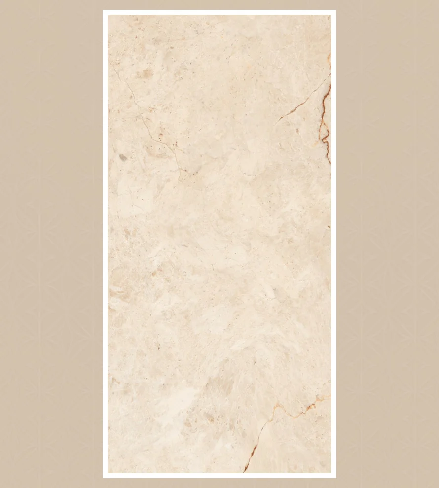 Porcelain Tile 600x1200 Ps_ 2043