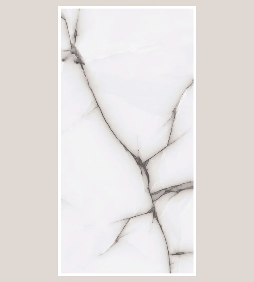 Porcelain Tile 600x1200 Ps_ 2057