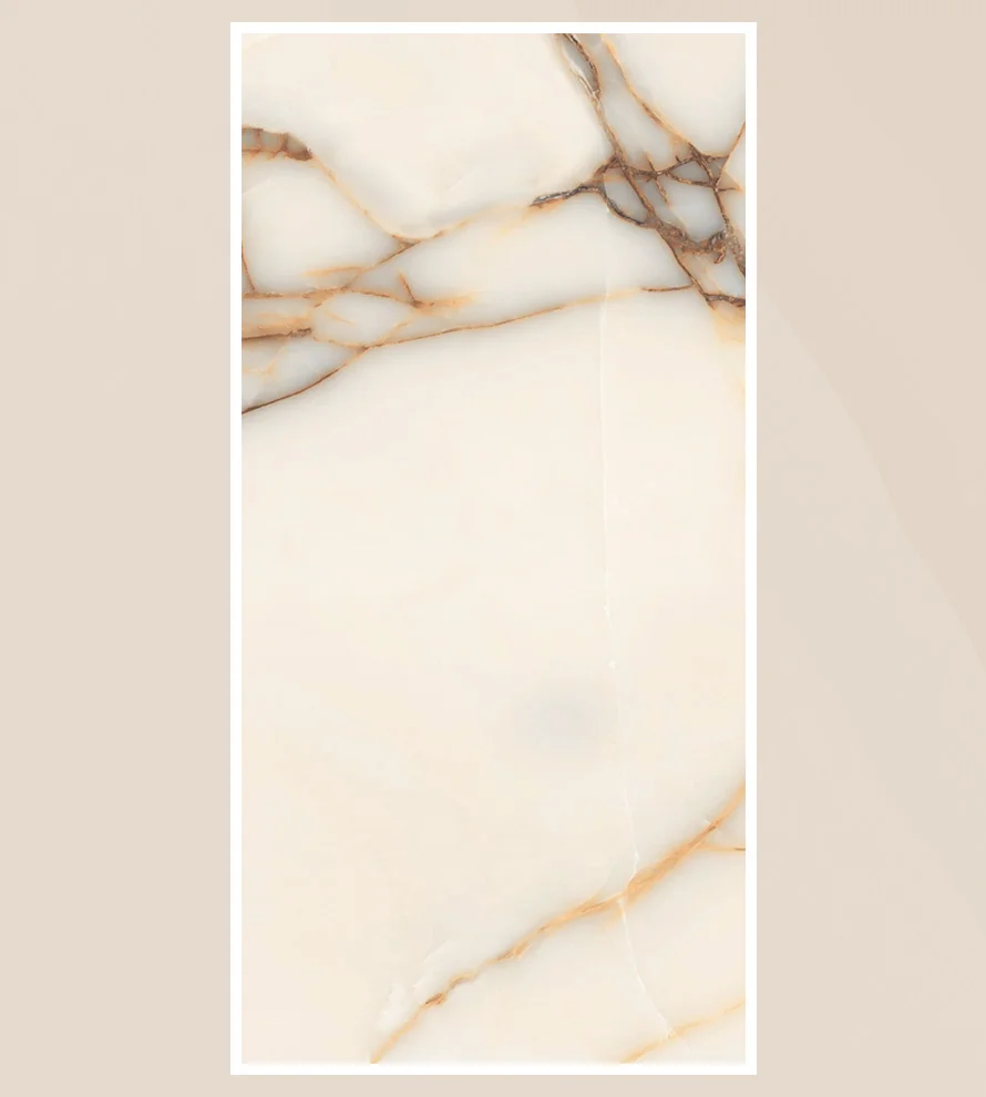 Porcelain Tile 600x1200 Ps_ 2059