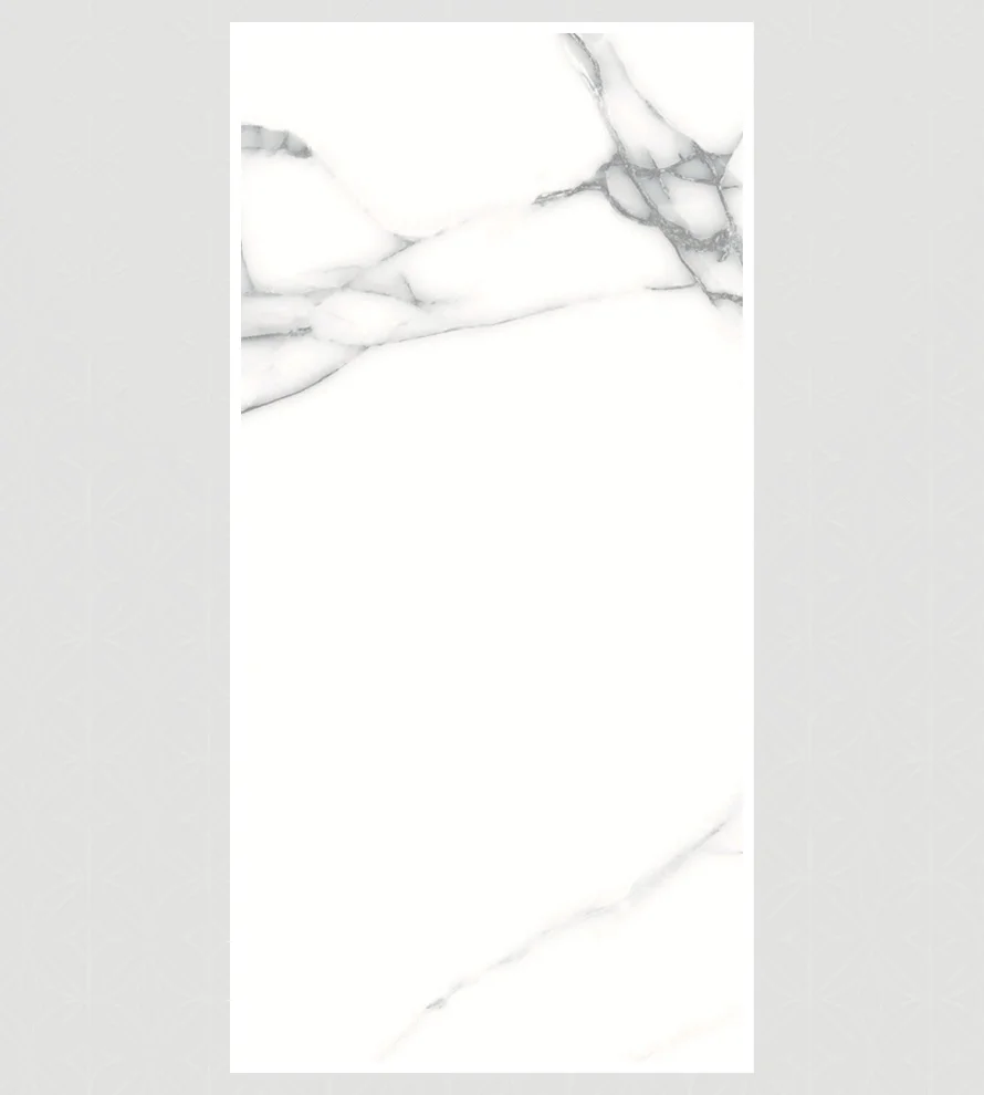 Porcelain Tile 600x1200 Ps_ 2060